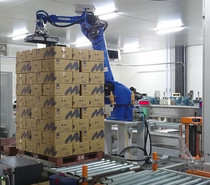 Robotic Palletizing Solution