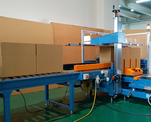 Packaging Line Carton Erector